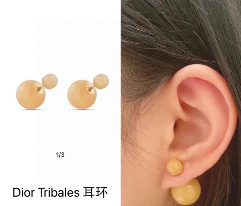 Christian Dior Earrings